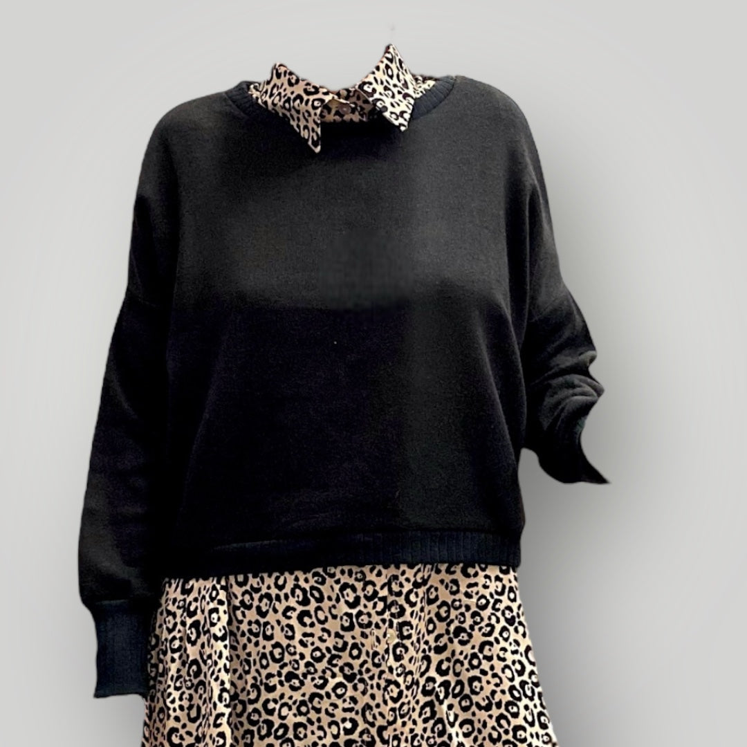 PULL STEFANIA GIROCOLLO